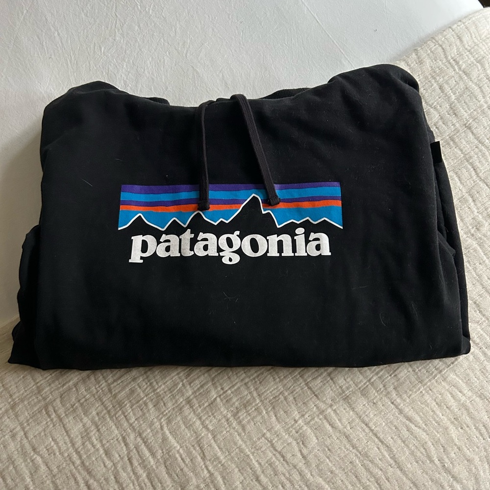 Patagonia Black Hoodie with Multicolor Logo